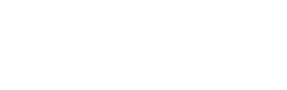 Logo-OpenAirlines-Academy-white-ai